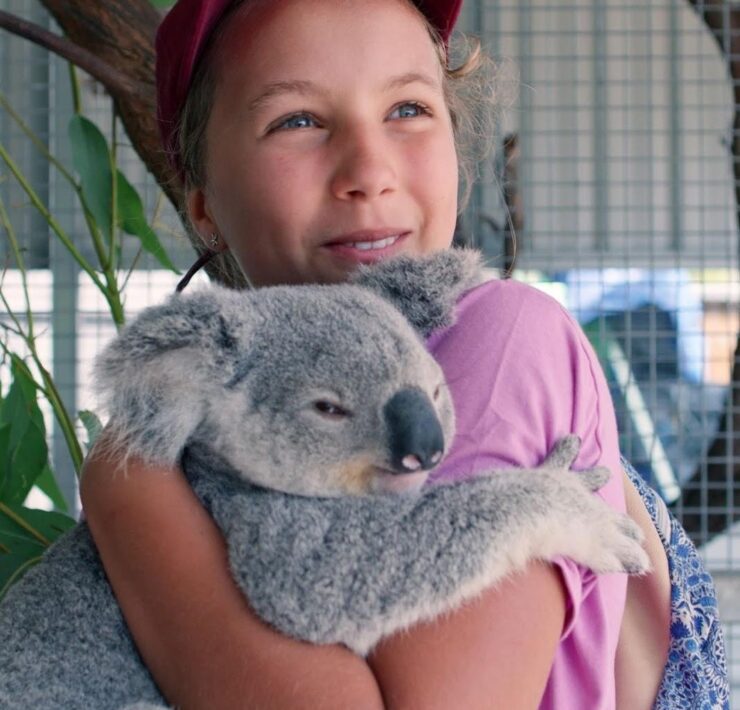 Izzi nel mondo dei koala
