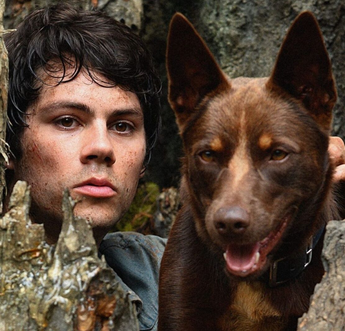 Joel con boy in copertina