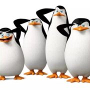 Pinguini di Madagascar