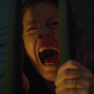 La donna alla finestra