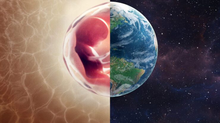 Human: il mondo dentro di noi