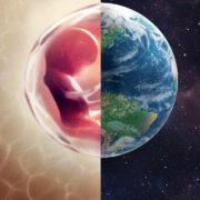 Human: il mondo dentro di noi