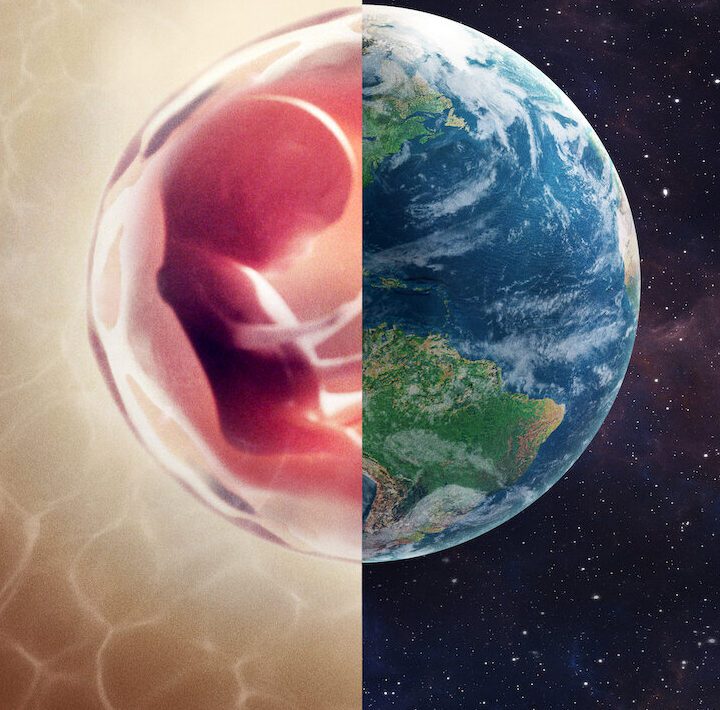 Human: il mondo dentro di noi