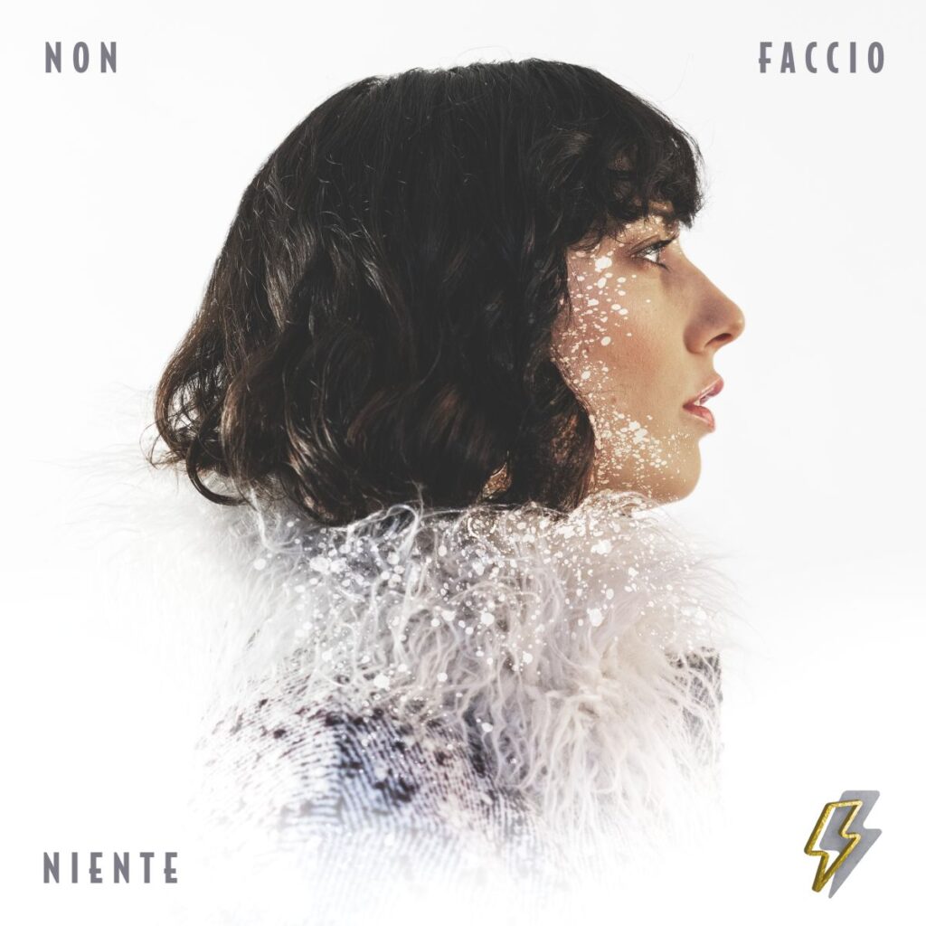 Non Faccio niente cover
