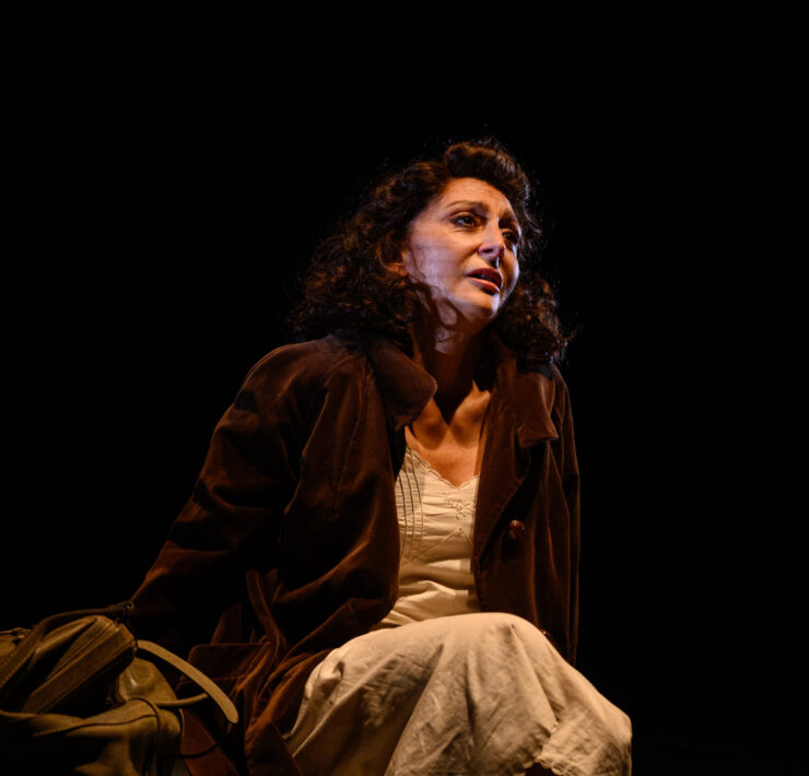 Elena, la matta