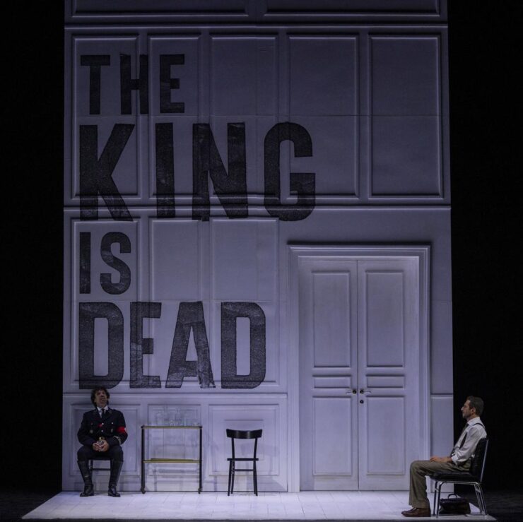 Il medico dei maiali