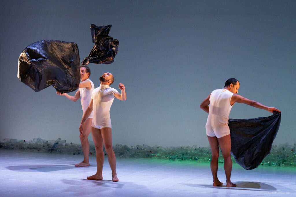 Cenerentola Chicos Mambo