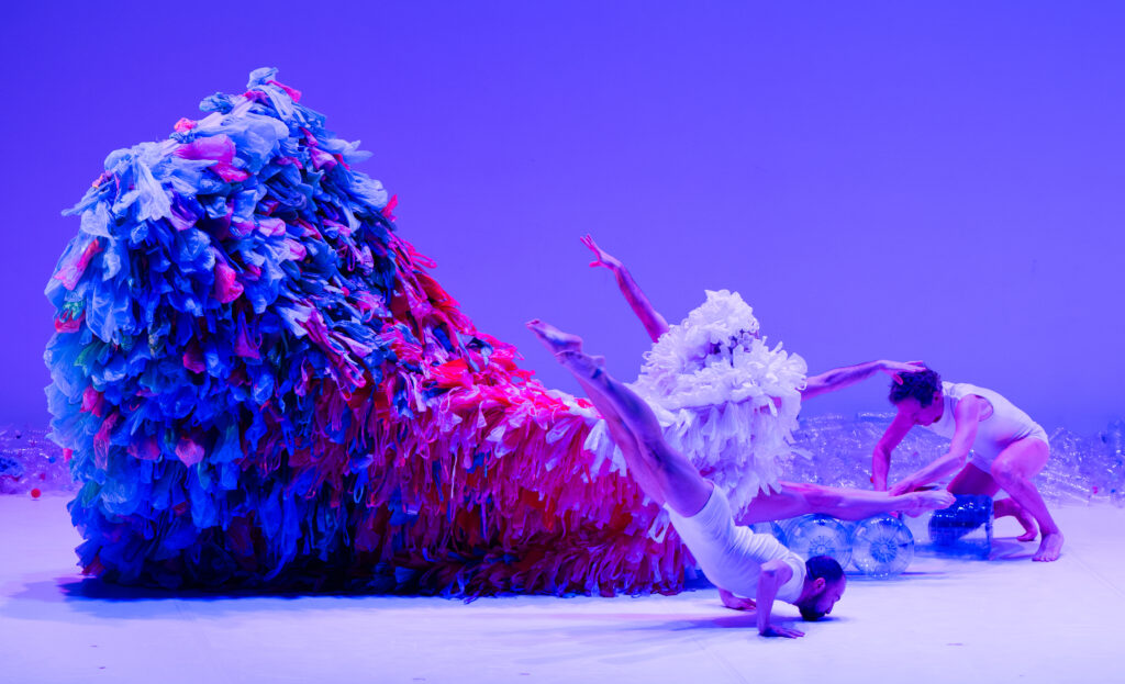 Cenerentola Chicos Mambo